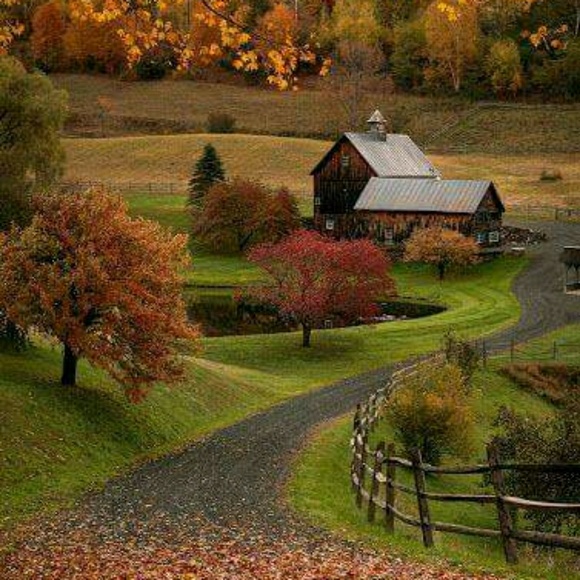 Meet your Posher, Linda - Picture 1 of 4